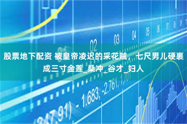 股票地下配资 被皇帝凌迟的采花贼，七尺男儿硬裹成三寸金莲_桑冲_谷才_妇人