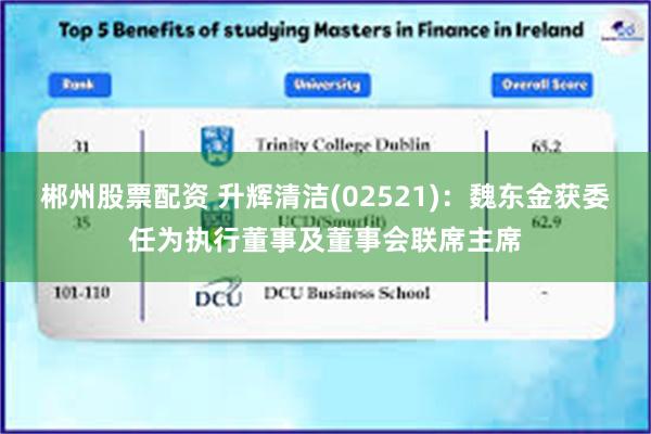 郴州股票配资 升辉清洁(02521)：魏东金获委任为执行董事及董事会联席主席