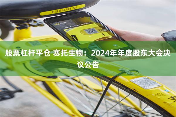 股票杠杆平仓 赛托生物：2024年年度股东大会决议公告