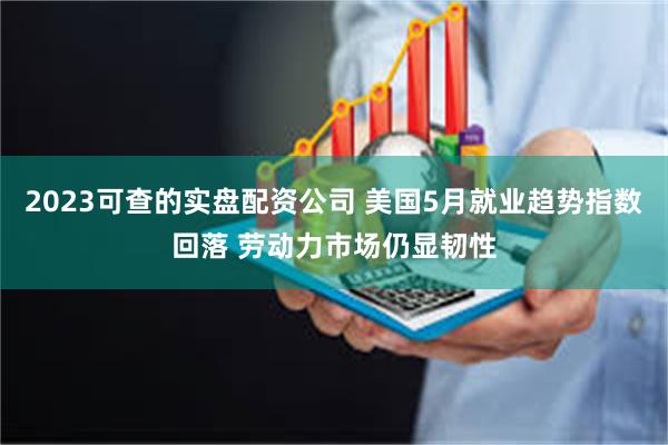 2023可查的实盘配资公司 美国5月就业趋势指数回落 劳动力市场仍显韧性
