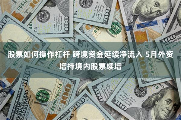 股票如何操作杠杆 跨境资金延续净流入 5月外资增持境内股票续增