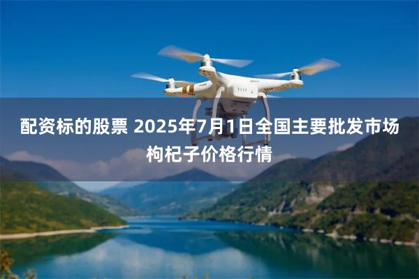 配资标的股票 2025年7月1日全国主要批发市场枸杞子价格行情
